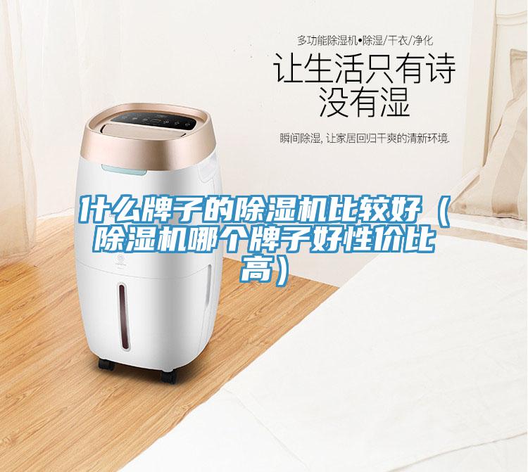 什么牌子的除濕機(jī)比較好（除濕機(jī)哪個(gè)牌子好性價(jià)比高）