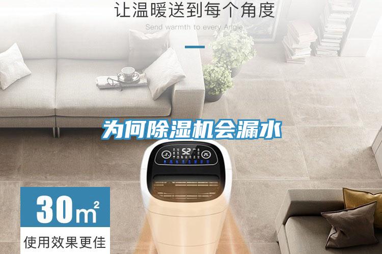 為何除濕機(jī)會(huì)漏水