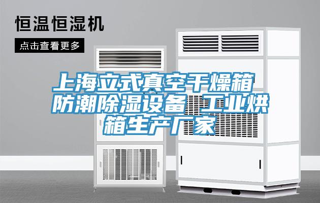 上海立式真空干燥箱 防潮除濕設(shè)備 工業(yè)烘箱生產(chǎn)廠家