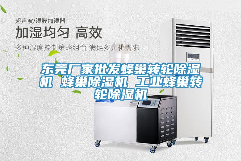 東莞廠家批發(fā)蜂巢轉輪除濕機 蜂巢除濕機 工業(yè)蜂巢轉輪除濕機