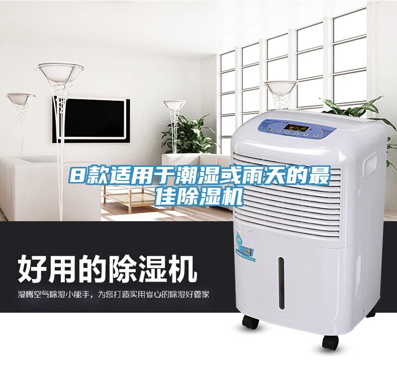 8款適用于潮濕或雨天的最佳除濕機(jī)