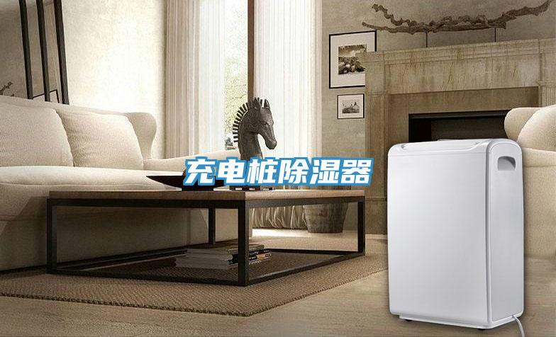 充電樁除濕器