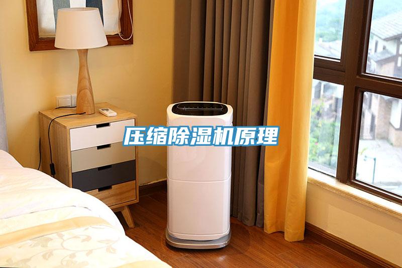 壓縮除濕機(jī)原理