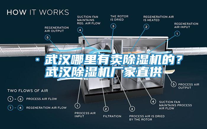 ·武漢哪里有賣除濕機的？武漢除濕機廠家直供