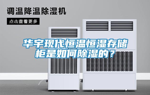 華宇現(xiàn)代恒溫恒濕存儲(chǔ)柜是如何除濕的？