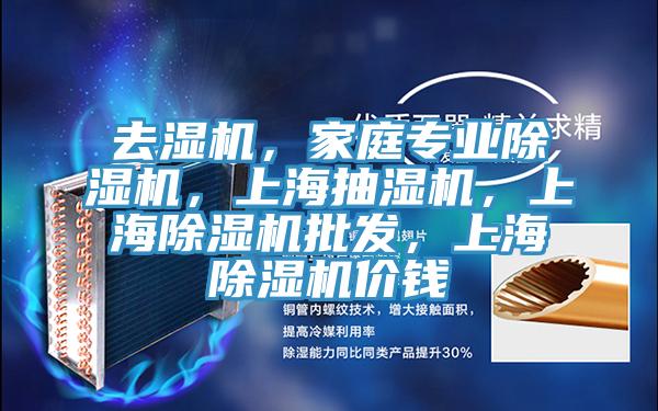 去濕機，家庭專業(yè)除濕機，上海抽濕機，上海除濕機批發(fā)，上海除濕機價錢