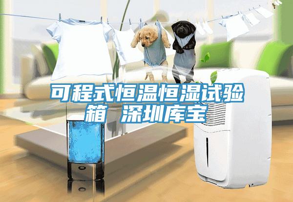 可程式恒溫恒濕試驗(yàn)箱 深圳庫(kù)寶