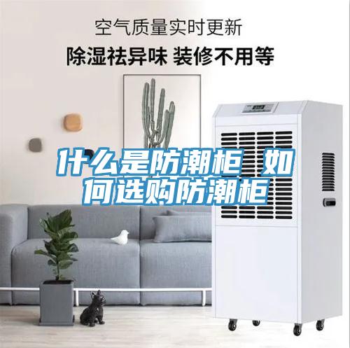 什么是防潮柜 如何選購防潮柜