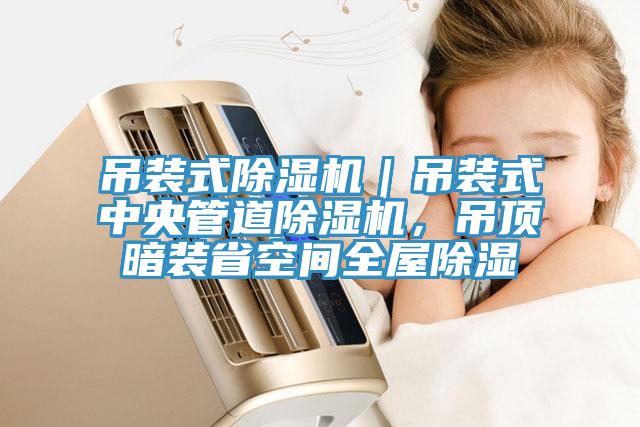 吊裝式除濕機｜吊裝式中央管道除濕機，吊頂暗裝省空間全屋除濕