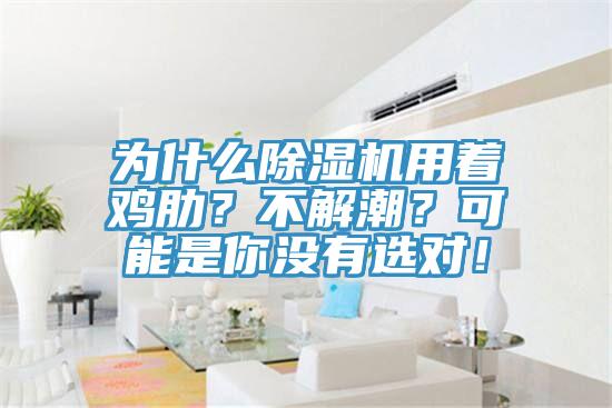 為什么除濕機(jī)用著雞肋？不解潮？可能是你沒有選對(duì)！