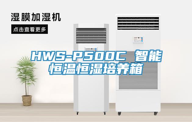 HWS-P500C 智能恒溫恒濕培養(yǎng)箱