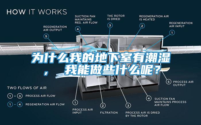 為什么我的地下室有潮濕， 我能做些什么呢？