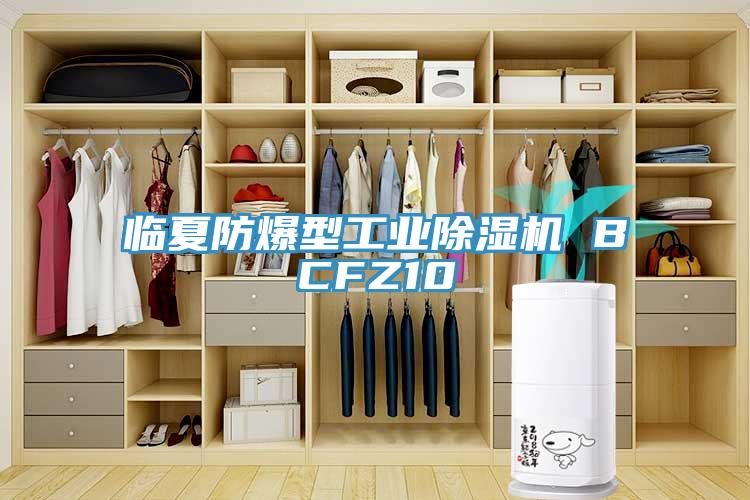 臨夏防爆型工業(yè)除濕機 BCFZ10