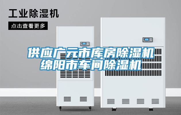 供應(yīng)廣元市庫(kù)房除濕機(jī)綿陽(yáng)市車(chē)間除濕機(jī)