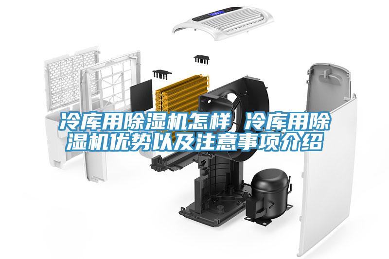 冷庫(kù)用除濕機(jī)怎樣 冷庫(kù)用除濕機(jī)優(yōu)勢(shì)以及注意事項(xiàng)介紹