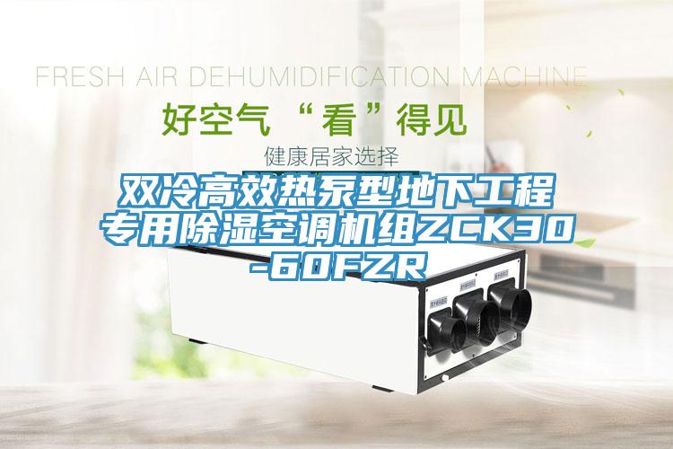 雙冷高效熱泵型地下工程專用除濕空調(diào)機組ZCK30-60FZR