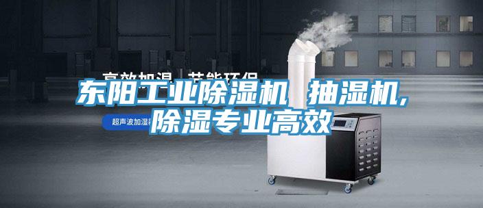 東陽工業(yè)除濕機 抽濕機,除濕專業(yè)高效
