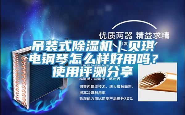 吊裝式除濕機｜貝琪電鋼琴怎么樣好用嗎？使用評測分享