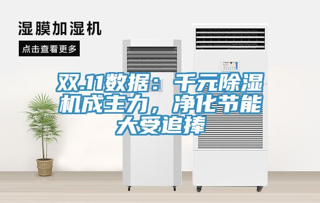 雙.11數(shù)據(jù)：千元除濕機成主力，凈化節(jié)能大受追捧