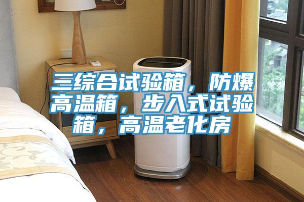 三綜合試驗箱，防爆高溫箱，步入式試驗箱，高溫老化房