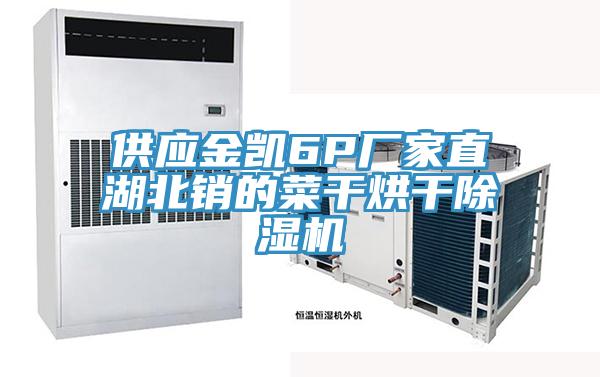 供應(yīng)金凱6P廠家直湖北銷的菜干烘干除濕機(jī)