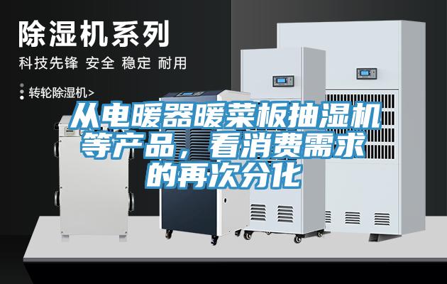 從電暖器暖菜板抽濕機等產(chǎn)品，看消費需求的再次分化