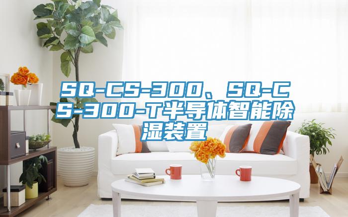 SQ-CS-300、SQ-CS-300-T半導(dǎo)體智能除濕裝置