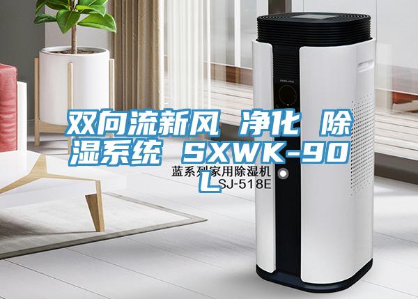 雙向流新風(fēng) 凈化 除濕系統(tǒng) SXWK-90L