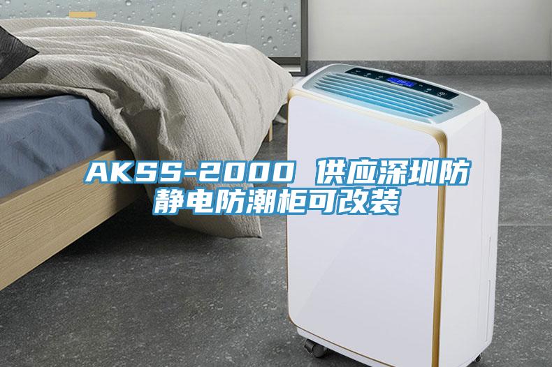 AKSS-2000 供應(yīng)深圳防靜電防潮柜可改裝