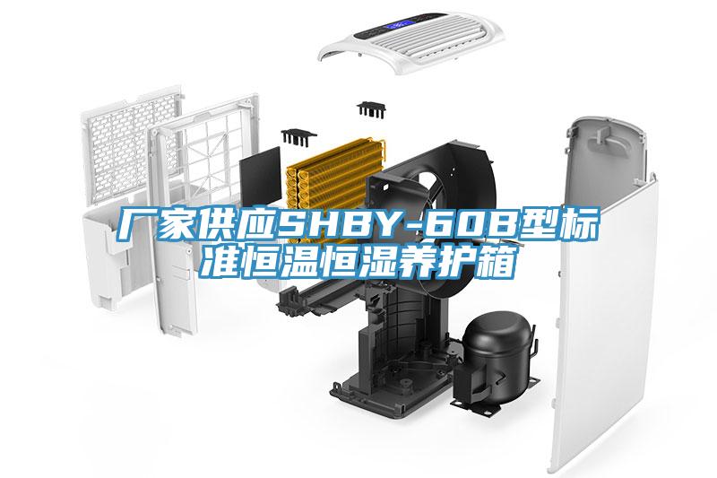 廠家供應(yīng)SHBY-60B型標準恒溫恒濕養(yǎng)護箱