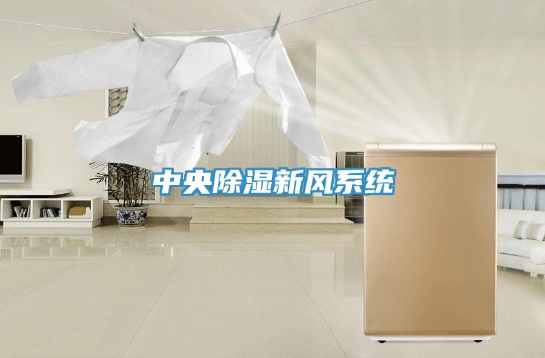 中央除濕新風系統(tǒng)