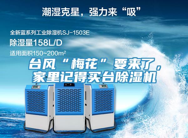 臺風(fēng)“梅花”要來了，家里記得買臺除濕機(jī)