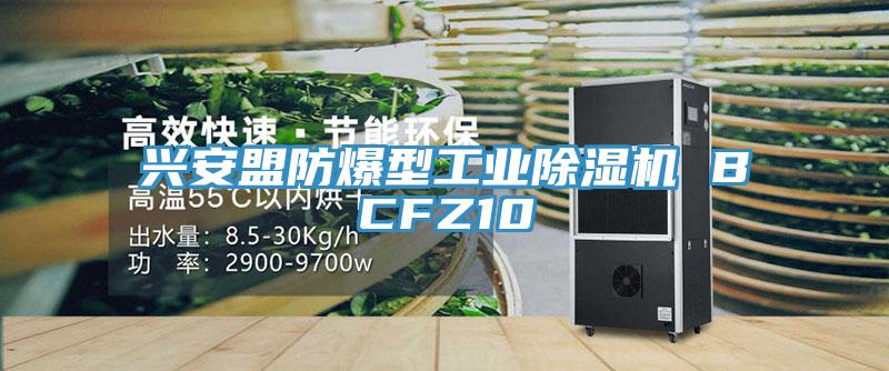 興安盟防爆型工業(yè)除濕機(jī) BCFZ10