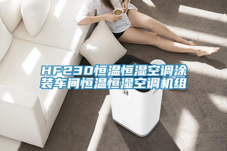 HF230恒溫恒濕空調(diào)涂裝車間恒溫恒濕空調(diào)機(jī)組