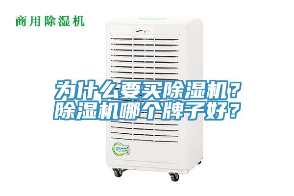 為什么要買除濕機(jī)？除濕機(jī)哪個(gè)牌子好？