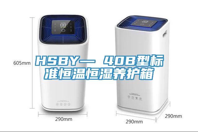 HSBY— 40B型標準恒溫恒濕養(yǎng)護箱