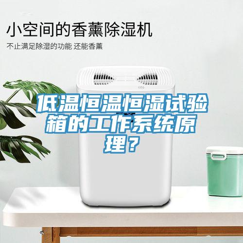 低溫恒溫恒濕試驗(yàn)箱的工作系統(tǒng)原理？