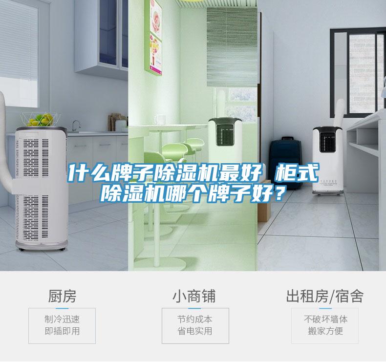 什么牌子除濕機(jī)最好 柜式除濕機(jī)哪個(gè)牌子好？