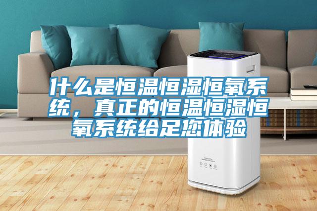 什么是恒溫恒濕恒氧系統(tǒng)，真正的恒溫恒濕恒氧系統(tǒng)給足您體驗(yàn)