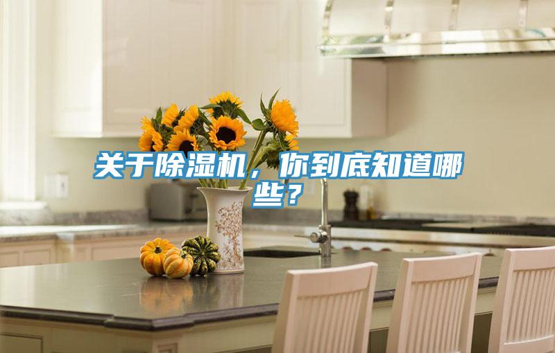 關(guān)于除濕機(jī)，你到底知道哪些？