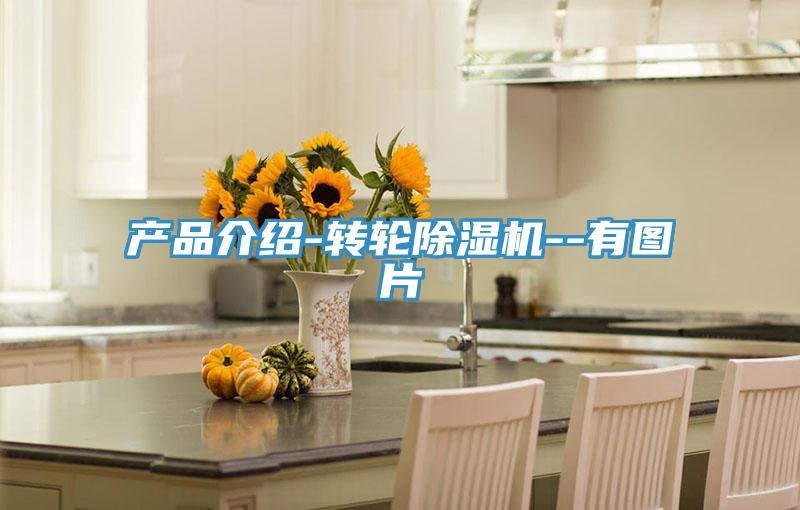 產(chǎn)品介紹-轉(zhuǎn)輪除濕機(jī)--有圖片
