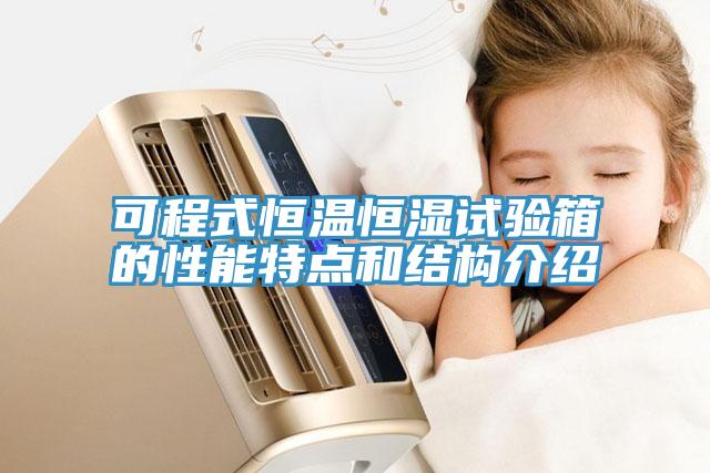 可程式恒溫恒濕試驗箱的性能特點和結(jié)構(gòu)介紹