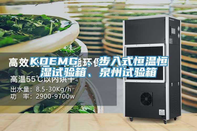 KOEMG 、步入式恒溫恒濕試驗(yàn)箱、泉州試驗(yàn)箱