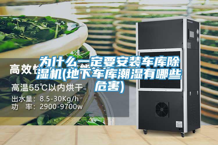 為什么一定要安裝車庫除濕機(jī)(地下車庫潮濕有哪些危害)