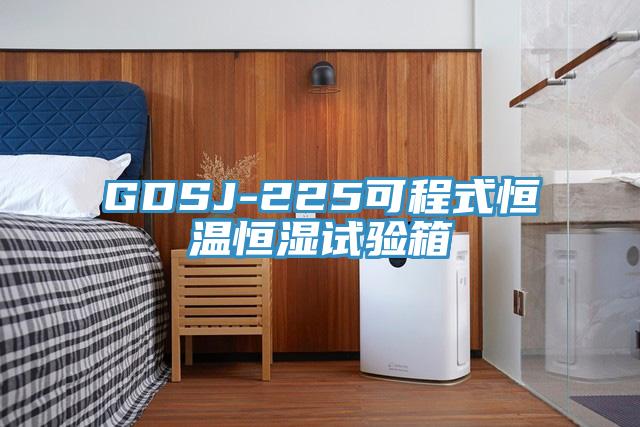 GDSJ-225可程式恒溫恒濕試驗(yàn)箱
