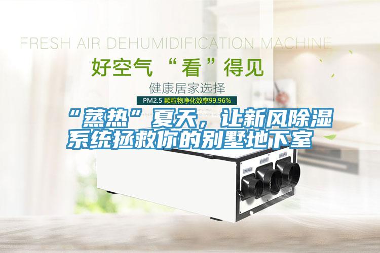 “蒸熱”夏天，讓新風(fēng)除濕系統(tǒng)拯救你的別墅地下室