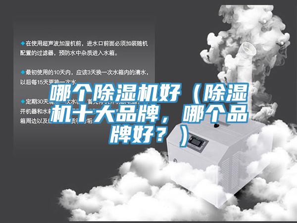 哪個(gè)除濕機(jī)好（除濕機(jī)十大品牌，哪個(gè)品牌好？）