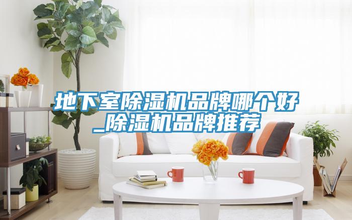地下室除濕機品牌哪個好_除濕機品牌推薦