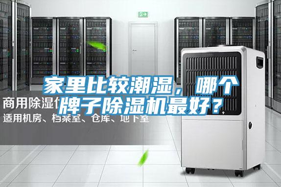 家里比較潮濕，哪個(gè)牌子除濕機(jī)最好？