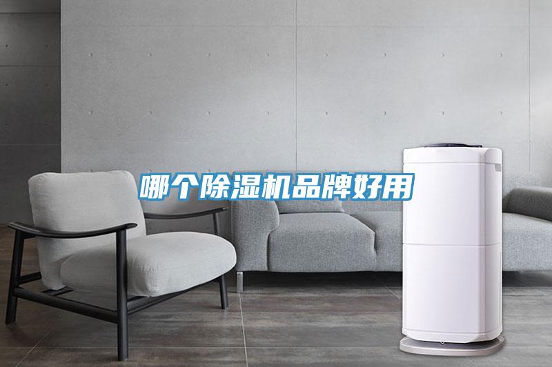哪個(gè)除濕機(jī)品牌好用